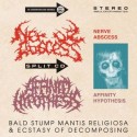 Nerve Abscess, Affinity Hypothesis ‎– Bald Stump Mantis Religiosa & Ecstasy Of Decomposing