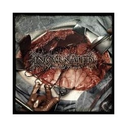 Incarnated ‎– Some Old Stories