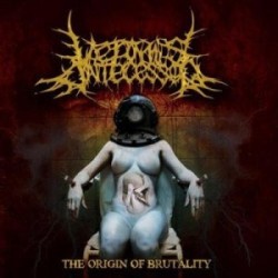 Vermis Antecessor ‎– The Origin Of Brutality(MCD)