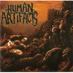 Human Artifacts ‎– The Principles Of Sickness